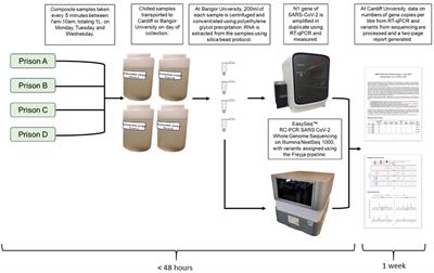 Evaluation of wastewater surveillance for SARS-CoV-2 in a prison population: a mixed-methods approach